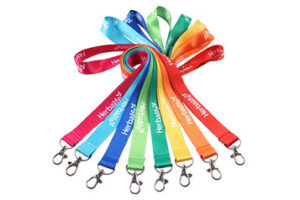 Lanyard
